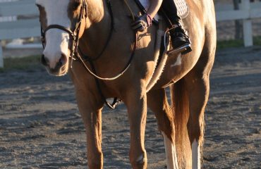 3rd place Hailey and Alexandra Sinclair Alex Sinclair is from Woodside, California, and 12 year old Hailey gave her the confidence to keep riding. “After Hailey came into my life, I became a confident and disciplined rider. She was not an expensive pony, but, she is safe and loving. Hailey and I started out together a year ago and she and I were lucky enough to attend HITS Thermal this year with my barn. . Hailey is not a pricey pony, but, sometimes money can't buy perfection. At Thermal, Hailey never won a thing under saddle because they knew she wasn't from the big leagues: but, when it came to Short Stirrup Equitation, she and I were like two peas in a pod; like peanut butter and jelly. We came home Mid-Circuit Champion. Hailey is my best friend.”