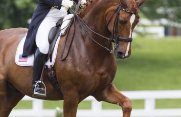 5Q2308 SuzanneBollman Cooper 11MEM6500 CopyrightSusanJStickle com