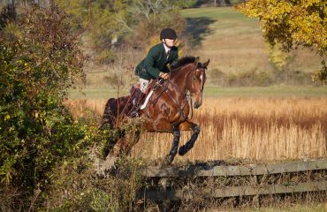 2311 tryon dean hicks 1