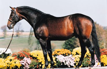 1_2401 iron spring 1 glendale conf