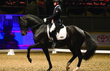 The Royal Winter Fair 2012