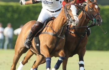 Asides1 Juan_Martin_Nero_Miguel_Novillo_Astrada