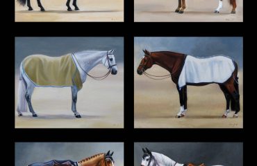 Set of six hunter/jumper paintings