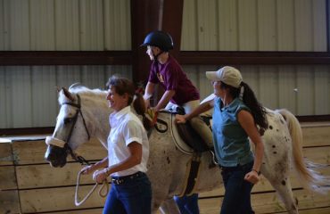 therapy2.VOLUNTEER _ leaderTrevor trot