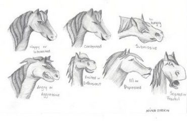 margie image 2020 copy