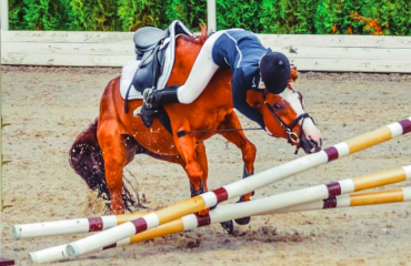 Screen Shot 2020-12-08 at 1.30.27 PM