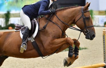 snapshot.Katie.L.uto