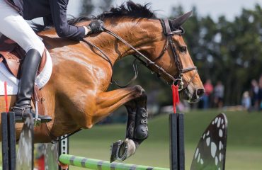 law.columnbyJumpMedia