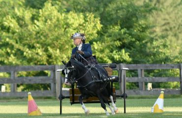 Cynthia.fromphotographer.Nistar Blazing Kansas copy