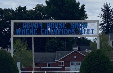 dressage.column.photo