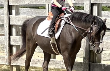 sportspsych.column.uto