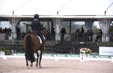 dressage.photo