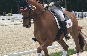 dressage.column.Julyphoto