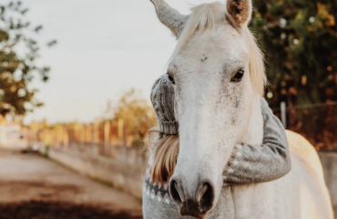 Screenshot 2023-11-16 at 1.07.15 PM