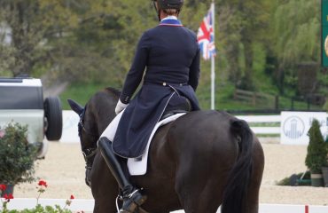 dressage.column