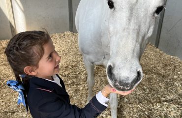 sportspsych.upatedphoto