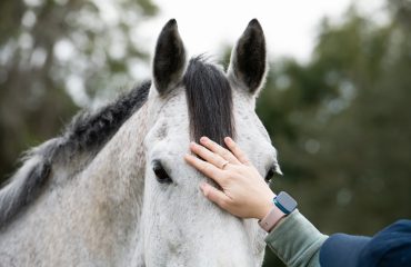 dressage.column3602.replacementphoto